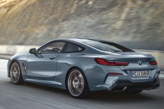 BMW 8 sērija G15 Kupeja 2018 - 2022 foto 11